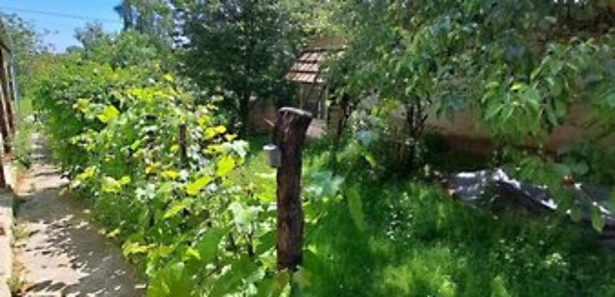 Eladó családi ház Kaposhomok