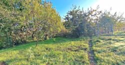 Eladó családi ház Keletivánfa, Kaposvár