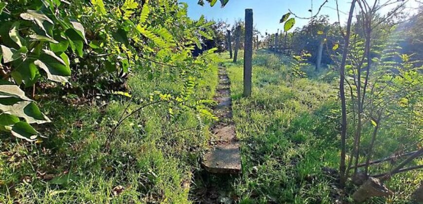 Eladó családi ház Keletivánfa, Kaposvár