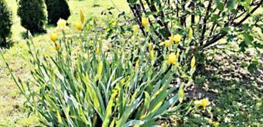 Eladó családi ház Kispest u, Gölle