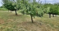 Eladó családi ház Rákóczi u, Ráksi