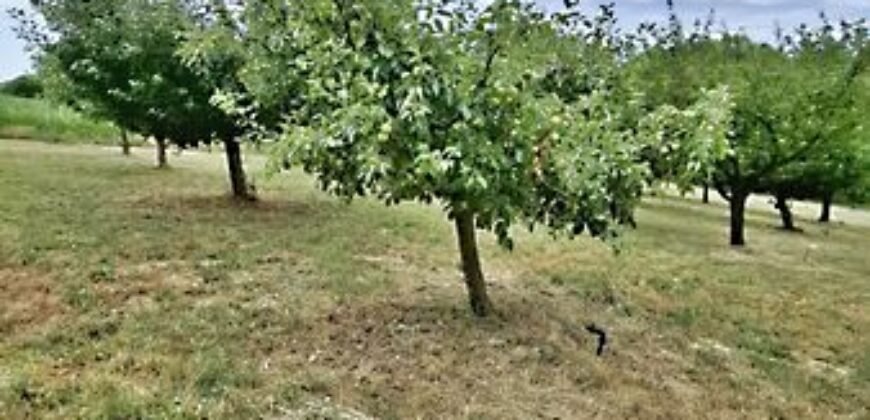 Eladó családi ház Rákóczi u, Ráksi