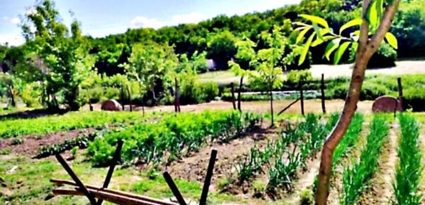 Eladó családi ház Döbrönte-Szőlőhegy, Ozora