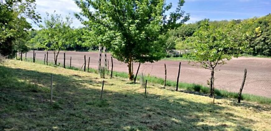 Eladó családi ház Döbrönte-Szőlőhegy, Ozora