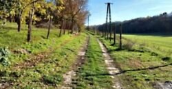 Eladó családi ház Döbrönte-Szőlőhegy, Ozora