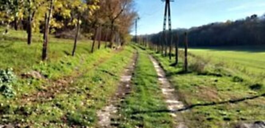 Eladó családi ház Döbrönte-Szőlőhegy, Ozora