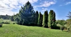 Kaposvártól 8 km Kaposmérőben család ház eladó!