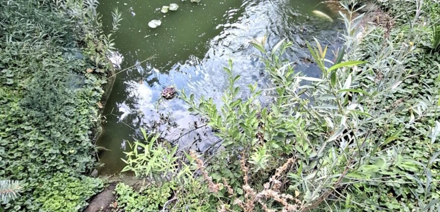 Kaposvártól 8 km Kaposmérőben család ház eladó!