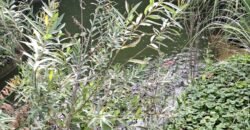 Kaposvártól 8 km Kaposmérőben család ház eladó!