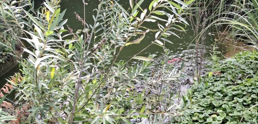 Kaposvártól 8 km Kaposmérőben család ház eladó!