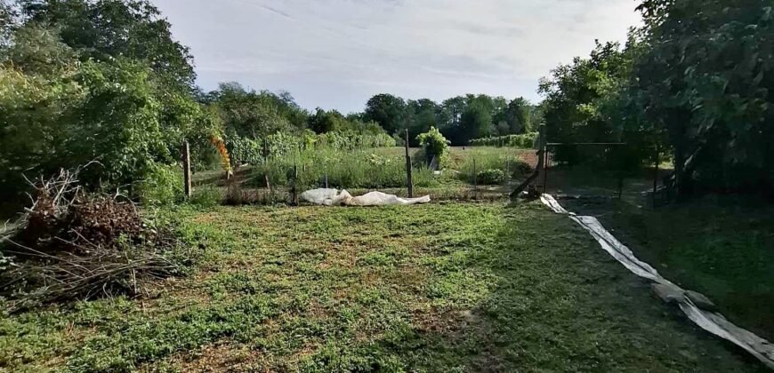 Eladó családi ház Somogysárdon!