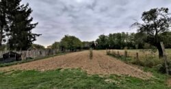 Családi ház eladó Somogysárdon!