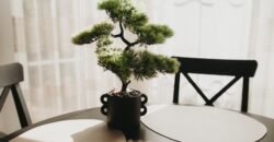 Dombóvár-Gunaras Otthon és vállalkozás egyben !