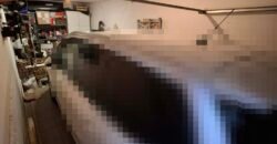 Kaposvár csendes utcájában egy igazi Otthon várja új tulajdonosait!