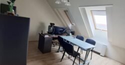 Impozáns lakás Kaposvár belvárosában!