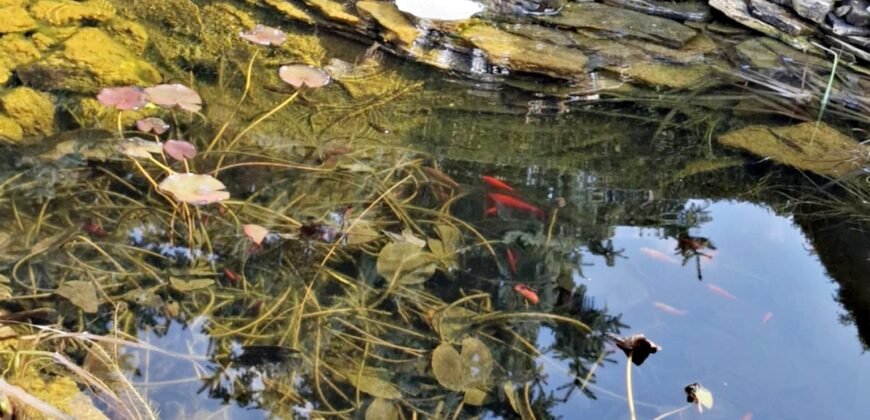 Taszár! Kaposvár és Dombóvár között!