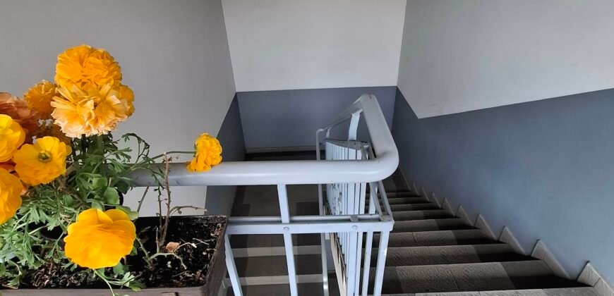 Kaposvár közkedvelt részén igazi kuriózum!