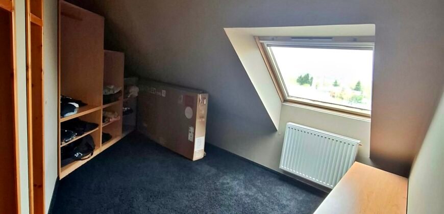 Kaposvár közkedvelt részén igazi kuriózum!