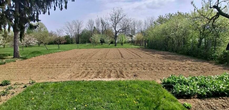 Kaposvár-Kaposfüred!